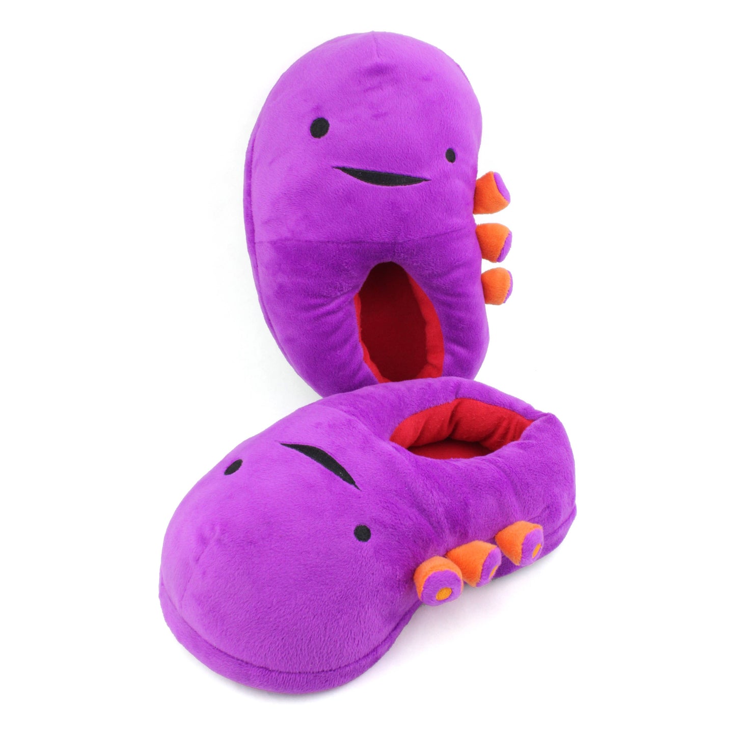 Kidney Slippers