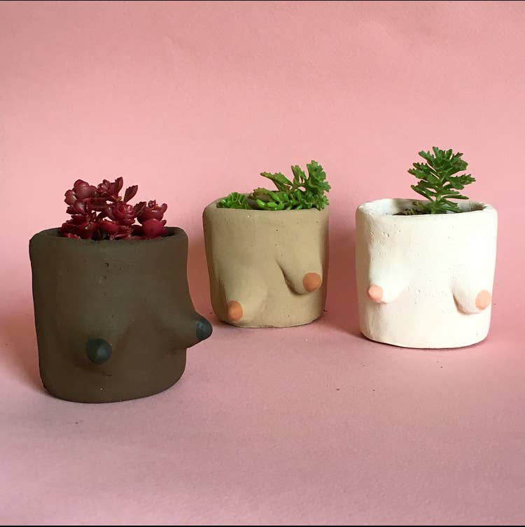 Painted Cement Boob Pots