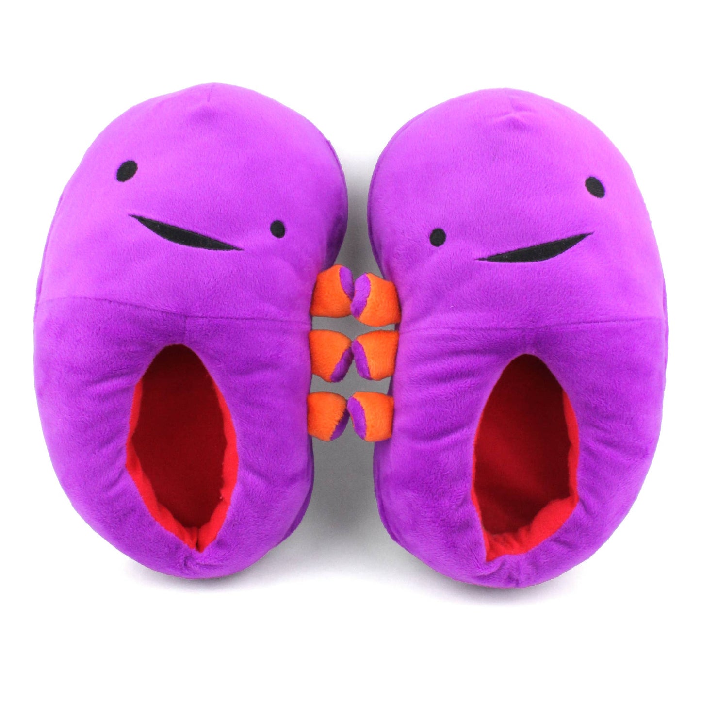 Kidney Slippers