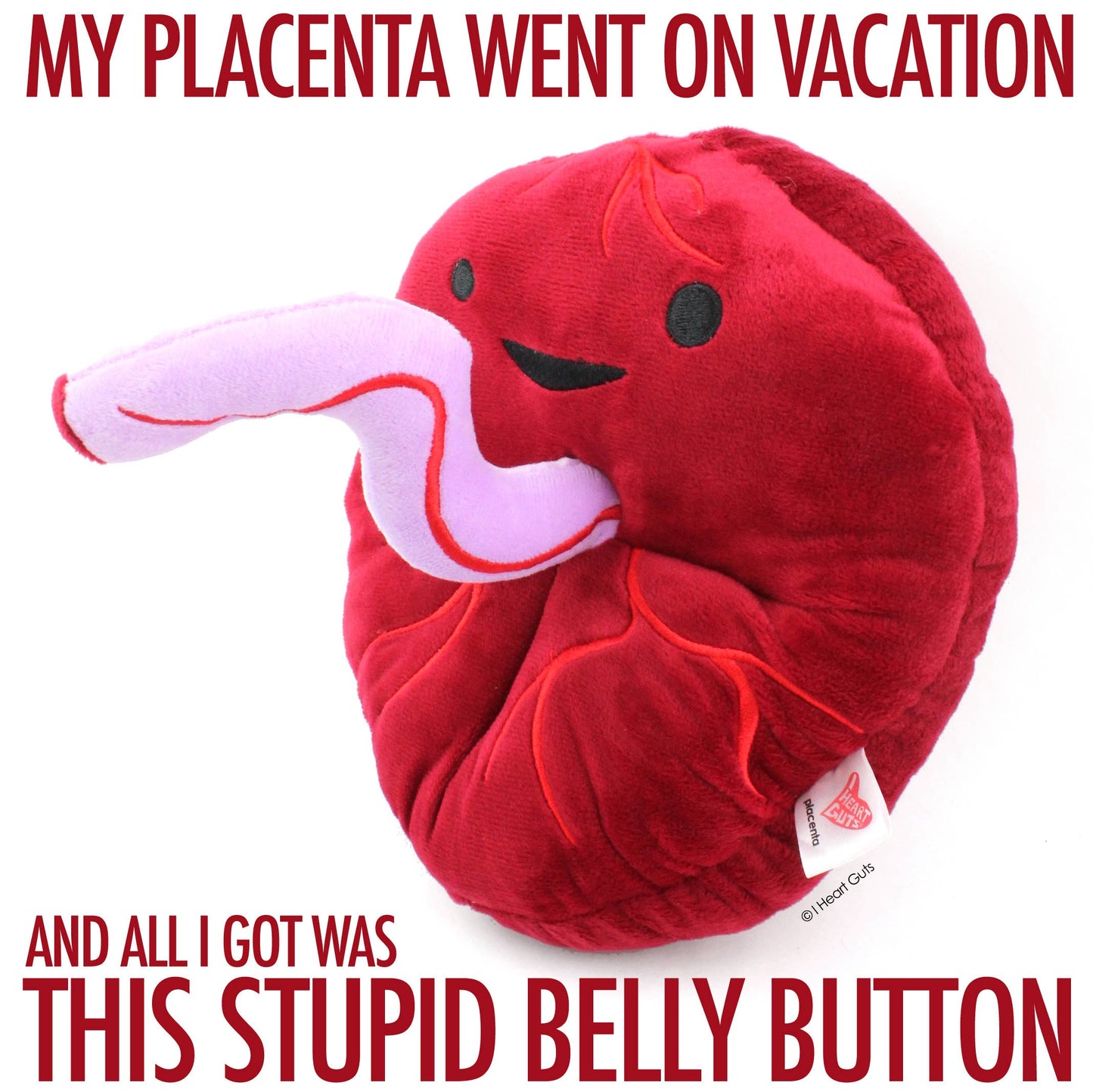 Placenta Plush - Baby's First Roommate